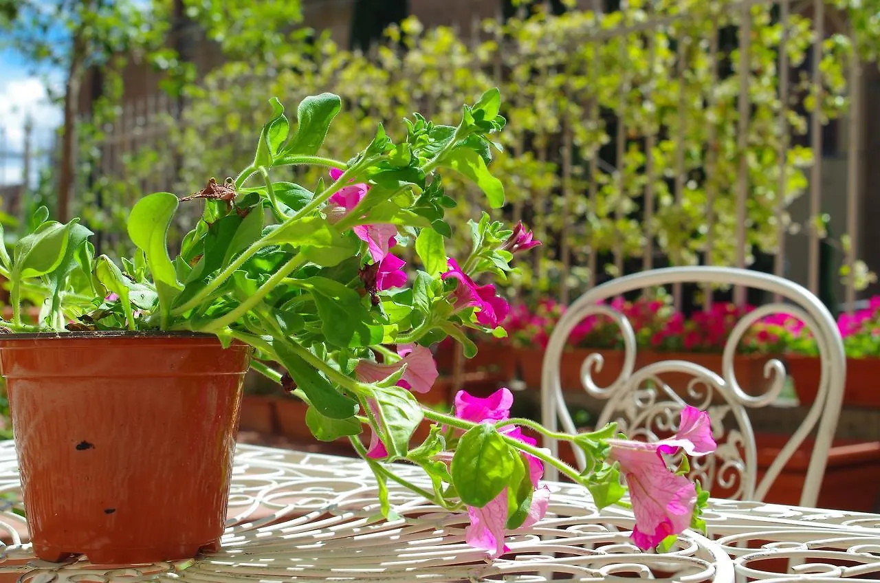 Bed & Breakfast Casalbergo Siena